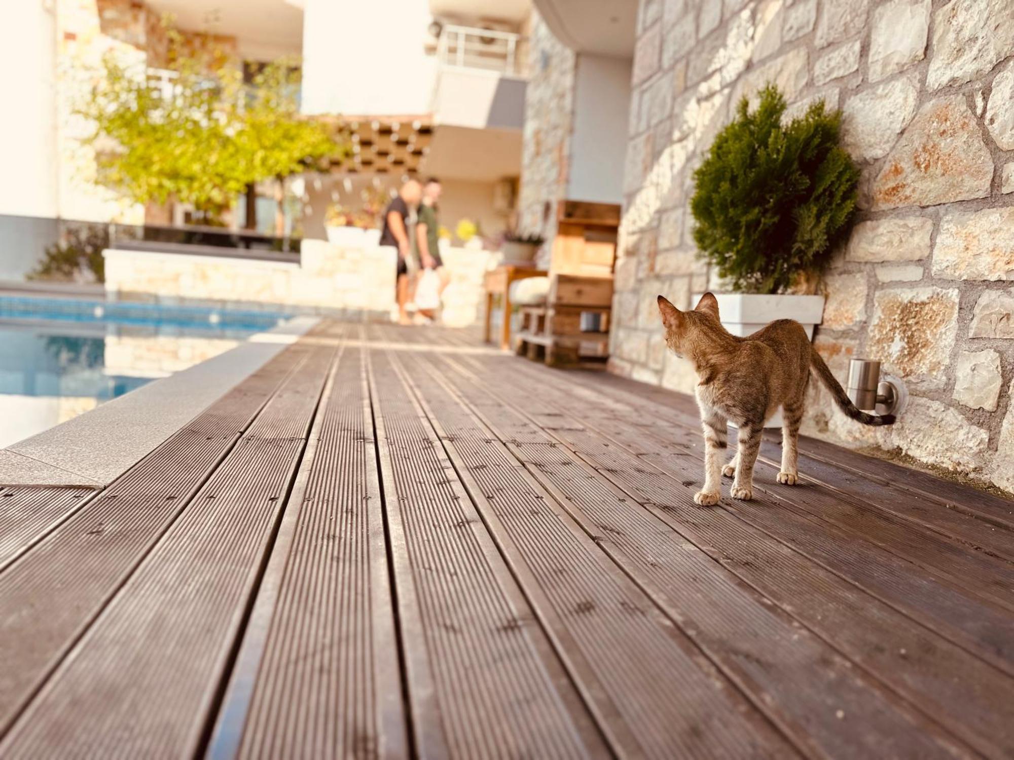 Villa Merkuri Himare Exterior foto